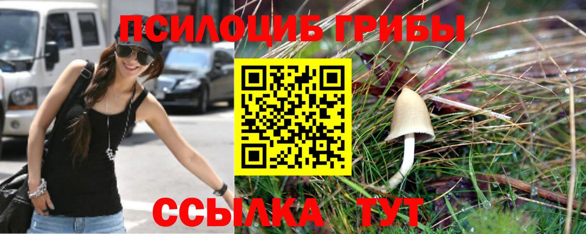 Псилоцибиновые грибы мухоморы  Вход с VPN  Чайковский 